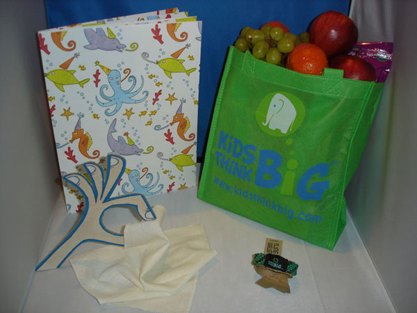 The Kids Think Big Think Green! Starter Kit