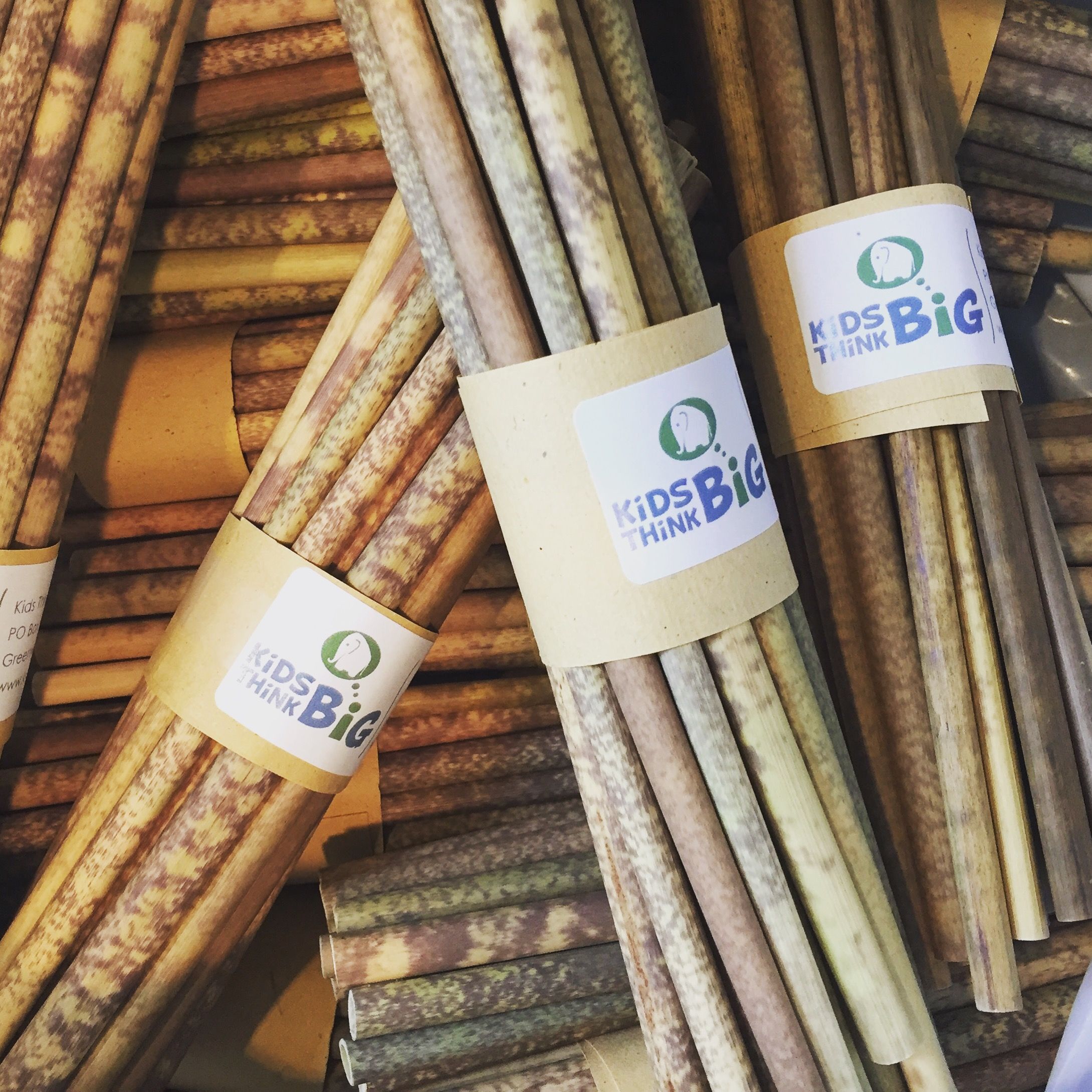 KTB Reed Straws (bulk) Kids Think Big